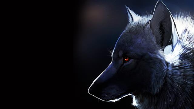 wolf illustration, nature, fantasy art, glowing eyes, dark, animals, HD wallpaper
