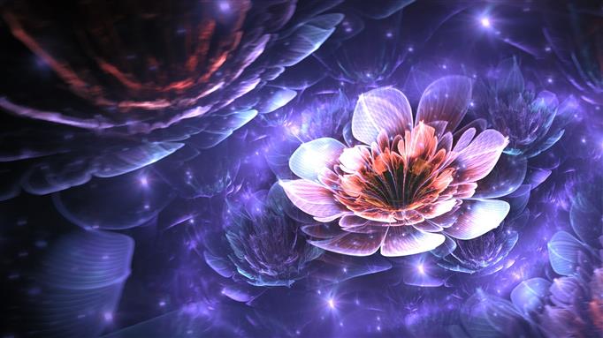 fractal, Apophysis, flowers, digital art, 3D, fractal flowers, HD wallpaper