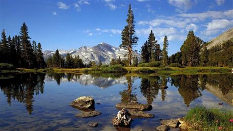 mountains landscapes forest california yosemite 1366x768 Nature Forests HD Art, HD wallpaper