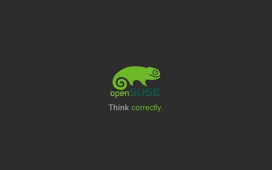 Think Correctly Suse, Computers, Linux, linux ubuntu, HD wallpaper